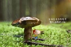英雄联盟总决赛赛程-唯一逆转，卡塔尔之夜的闪电锋刃，费利克斯用七秒刺穿泰国王朝