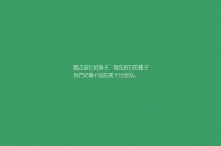英雄联盟总决赛时间-冰火两重天，福登导演逆转绝杀，冰岛在2026世界杯D组生死战中击碎阿联酋神话