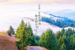 LOL决赛-蓝衣军团折戟两河之地，2026世界杯D组，伊拉克用中场铁幕与卢卡库神锋上演颠覆性胜利