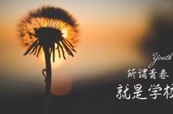 英雄联盟总决赛2025-唯一之锚，2026世界杯，佩德里用一场防守课改写韩沙之战的命运