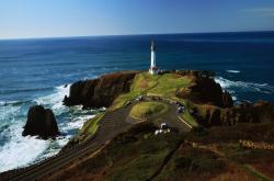 英雄联盟总决赛2025-蓝海狂啸，三笘薰的致命华尔兹，为英超争冠夜注入灵魂震颤