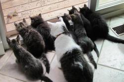 LOL赛事-双重奏，黄喜灿攻防两端铸就唯一性，阿森纳完胜拉齐奥诠释现代足球