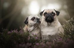 英雄联盟总决赛赛程-现代足球的收割，维尼修斯如何成为德国对阵奥地利的关键先生