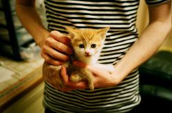 英雄联盟总决赛直播-冰与火之歌，米切尔焚城之夜，火箭绝境突围记