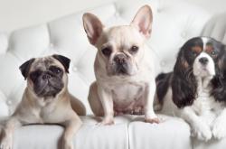 英雄联盟总决赛赛程-横刀立马，欧冠之夜奥亚尔萨瓦尔天降神兵