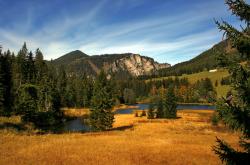 英雄联盟总决赛直播-铁血意志与精密战术碰撞，小贾伦降临德甲之夜