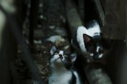 英雄联盟总决赛赛程-跨界交锋，一场足球赛如何让斯通斯完成破碎与重塑的救赎之旅