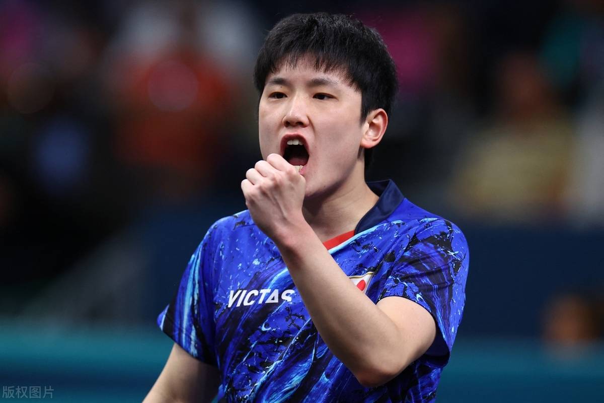 韩国队力克奥地利队，张本智和高光表现的简单介绍