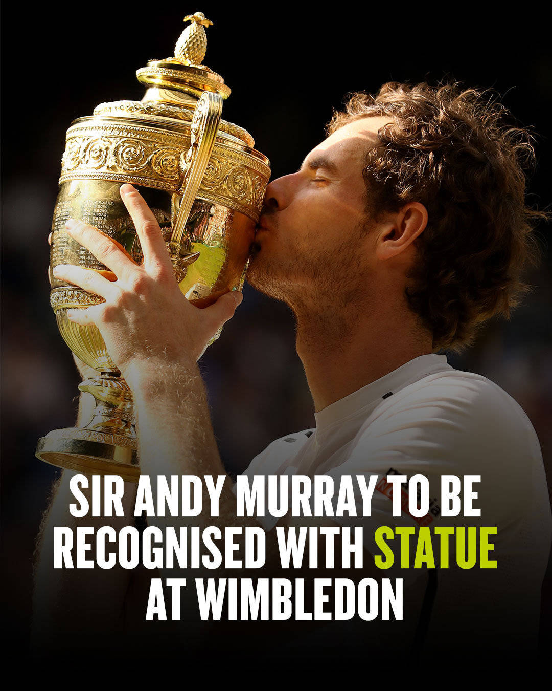 温网完胜美网,穆雷惊艳四座 温网完胜美网,穆雷惊艳四座