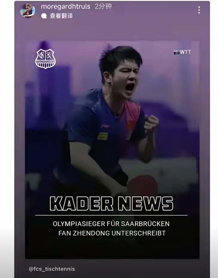 波兰队轻取德国队,樊振东高光表现 波兰队轻取德国队,樊振东高光表现