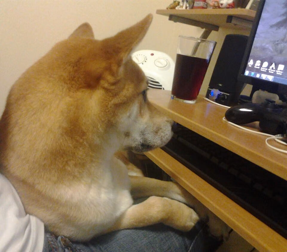 魔法师的节奏，武切维奇如何用优雅姿态提前瓦解老鹰的飞翔之梦