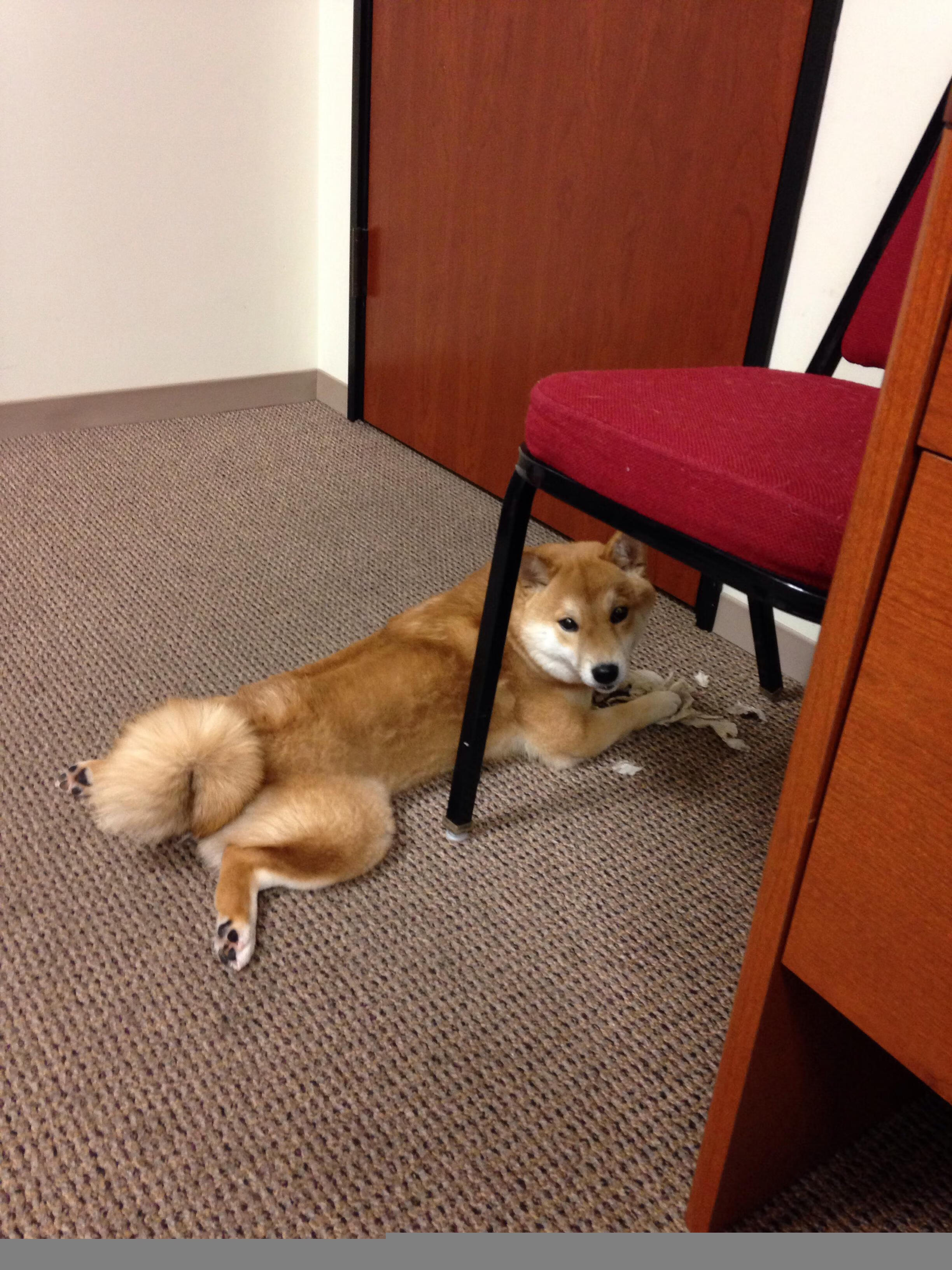 唯一性的双重奏，劳塔罗关键节点连续得分与安哥拉封锁芬兰的奇迹