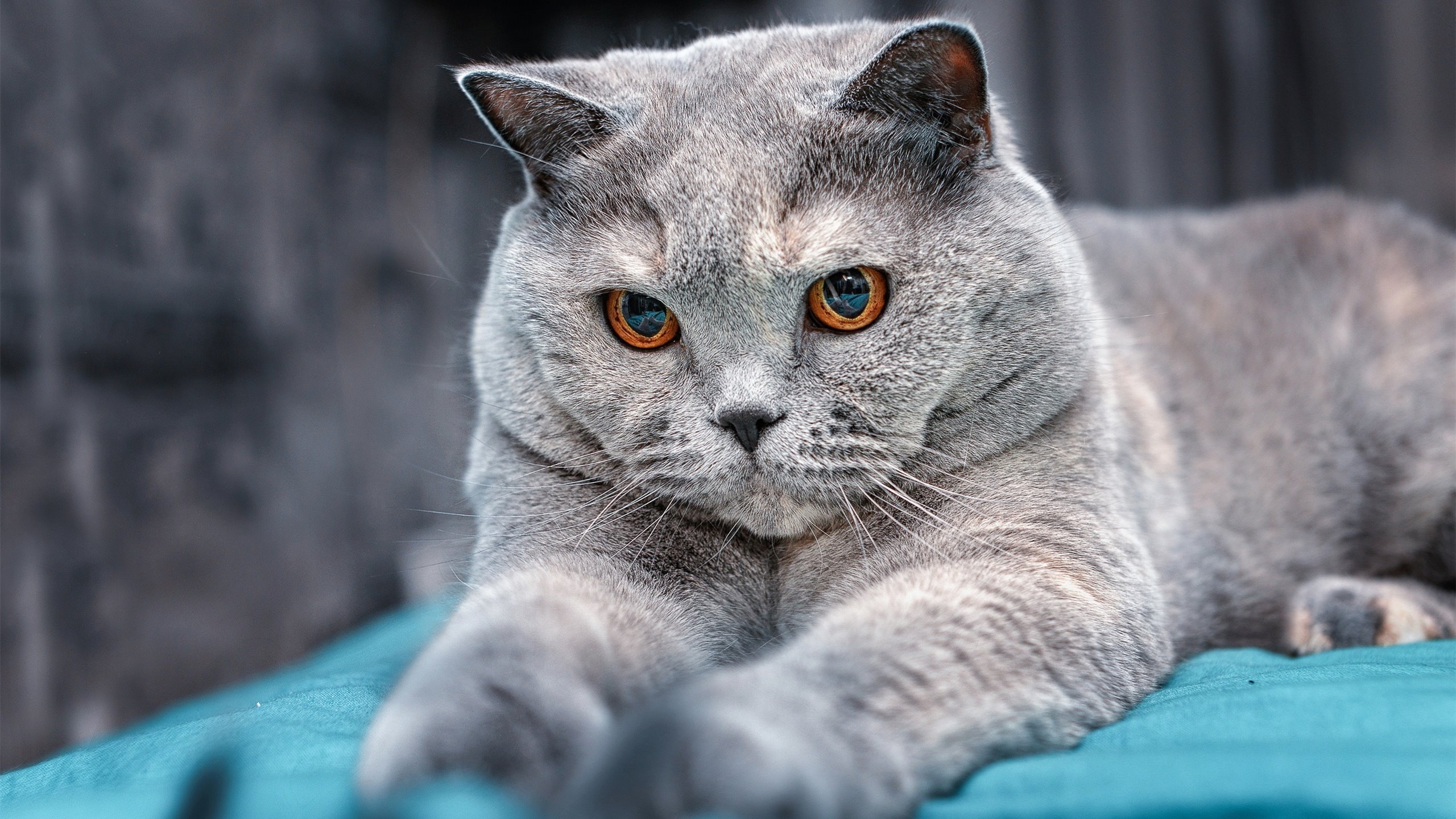 唯一与孤勇,荣耀、悲壮,与一道无解的数学题