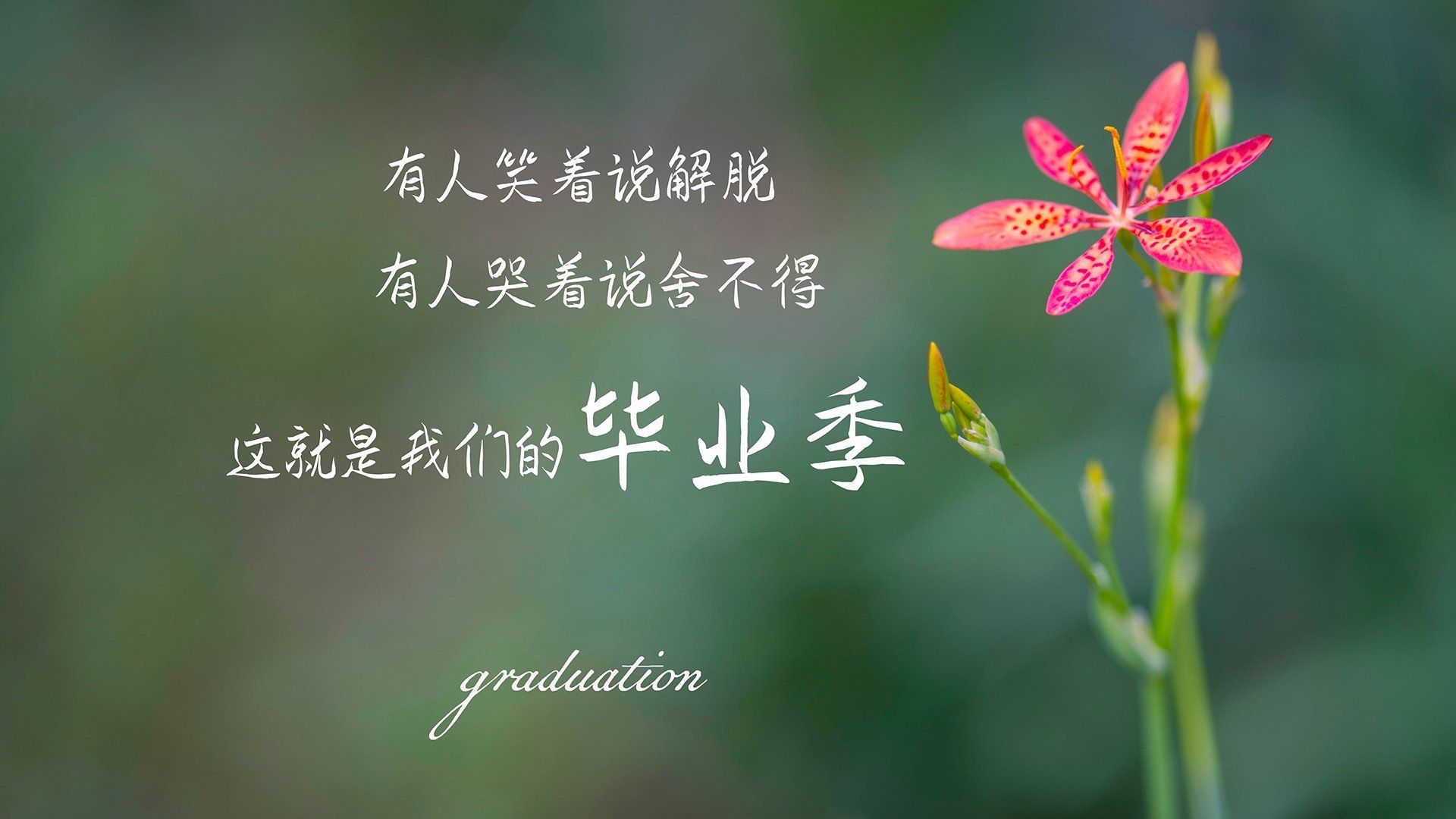 节奏颠覆者，文班亚马如何让开拓者的控场艺术在马刺面前失效