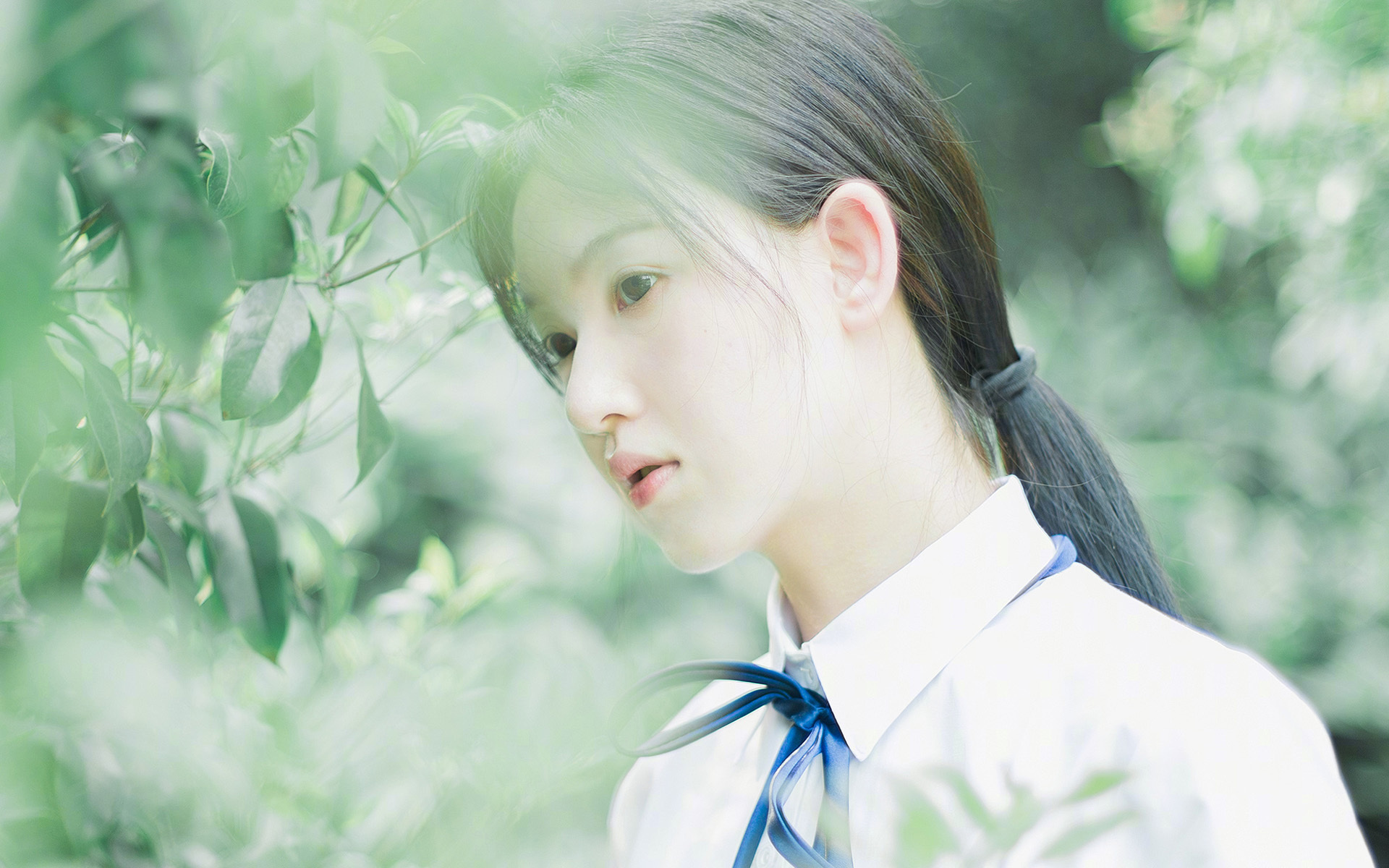 文班亚马构筑禁飞区,深圳队惊天爆冷完胜芝加哥公牛