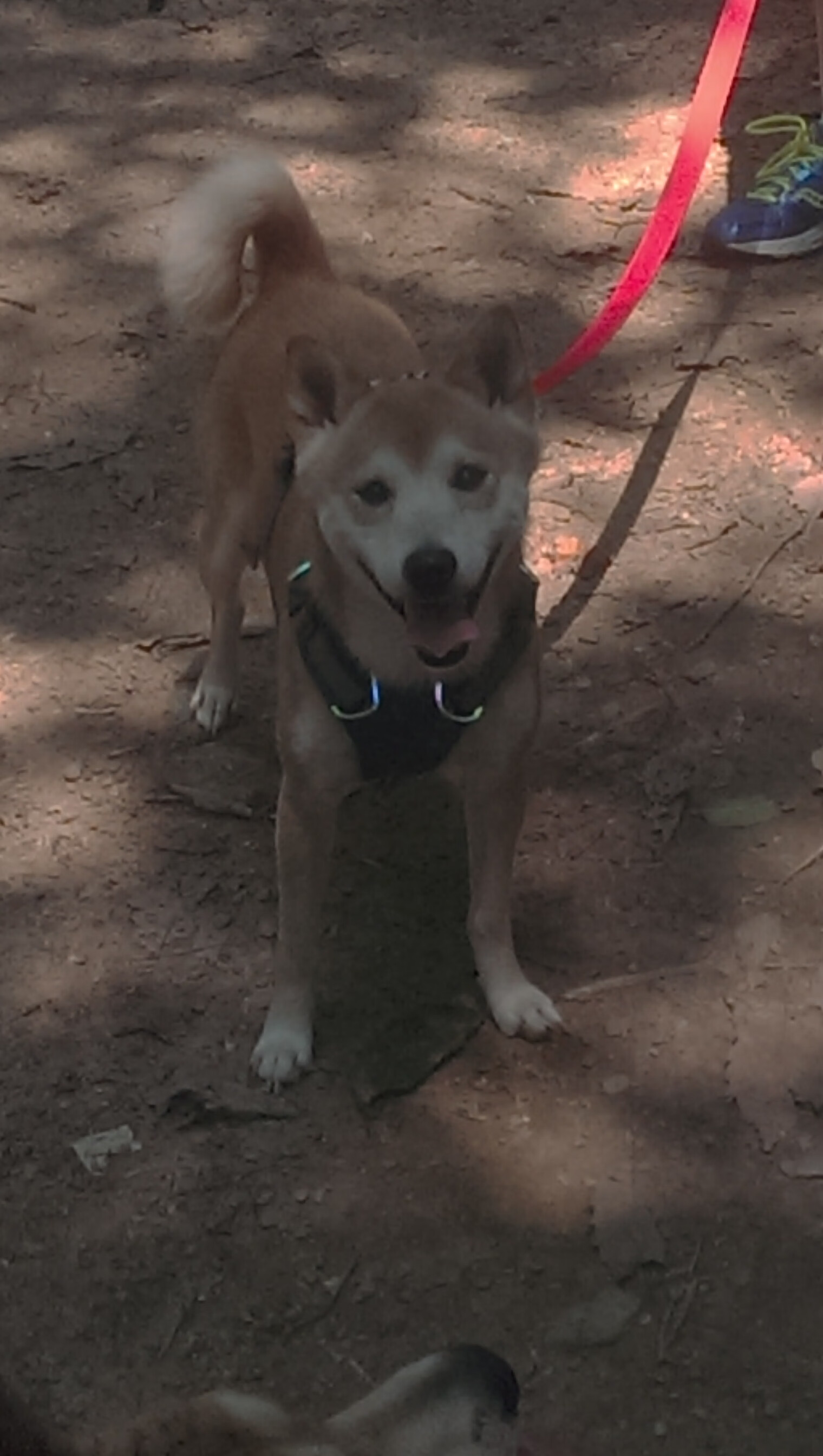 金城铁壁!巅峰对决决胜马里,金玟哉一夫当关成关键先生