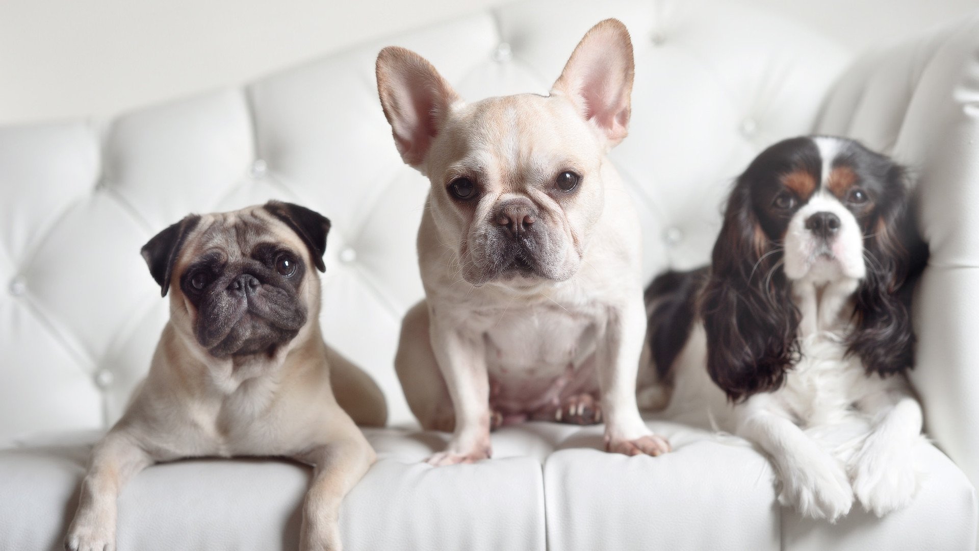 横刀立马,欧冠之夜奥亚尔萨瓦尔天降神兵