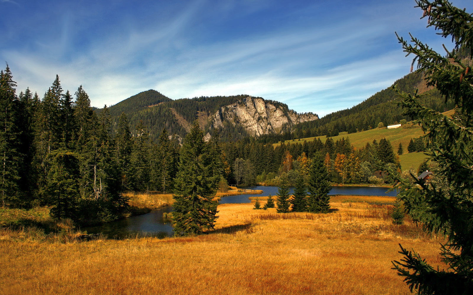 铁血意志与精密战术碰撞，小贾伦降临德甲之夜