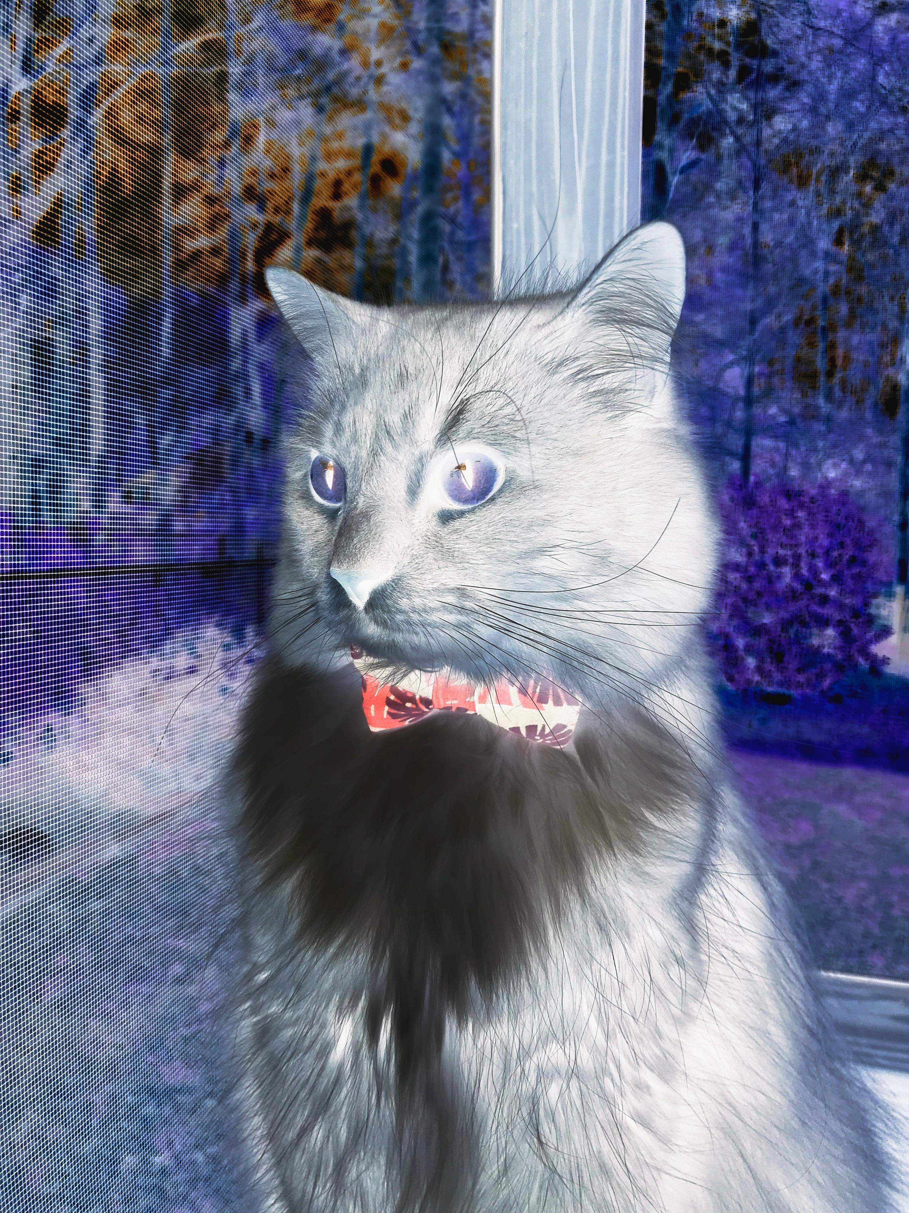 法则改写者，年度焦点之战，雷霆用一场防守绞杀提前宣告战术革新的降临