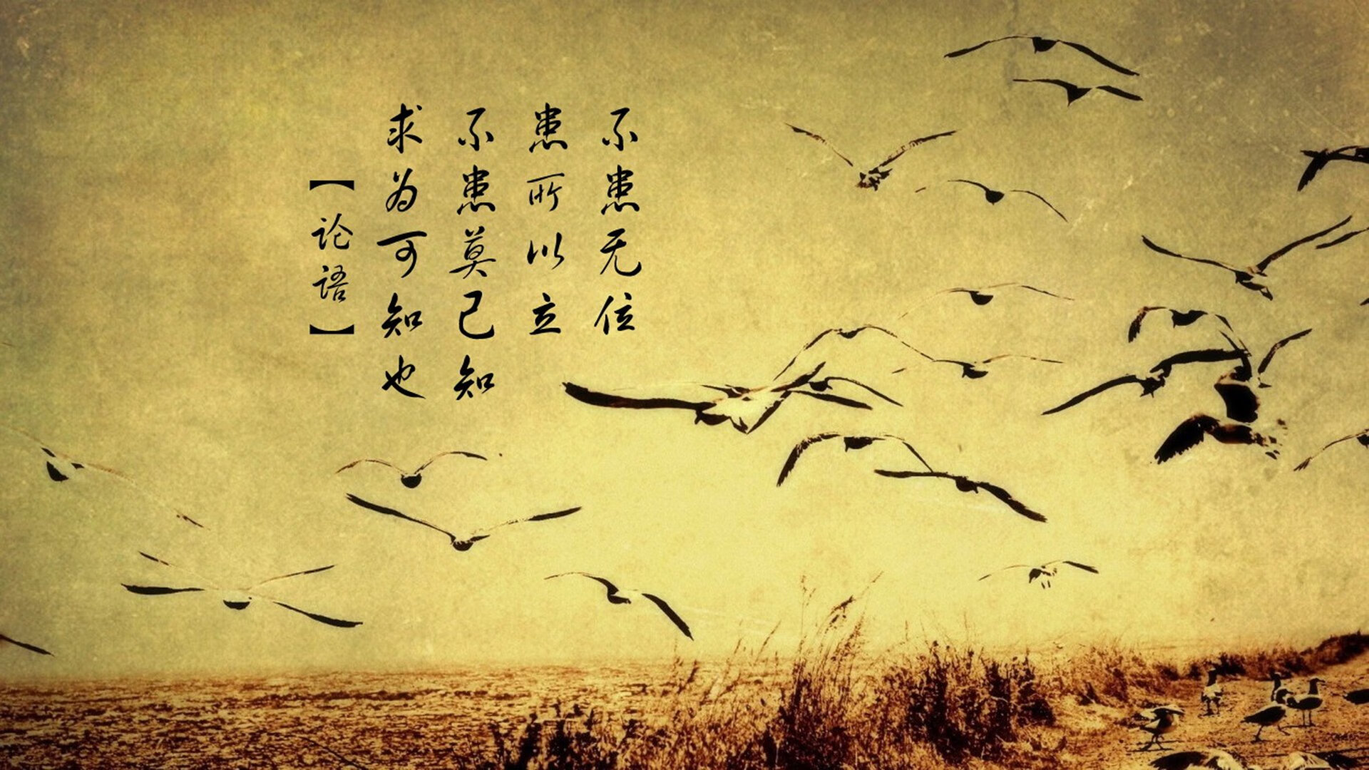 当必然遇到偶然,若日尼奥的纪录之盾,难挡埃及法老的时光匕首