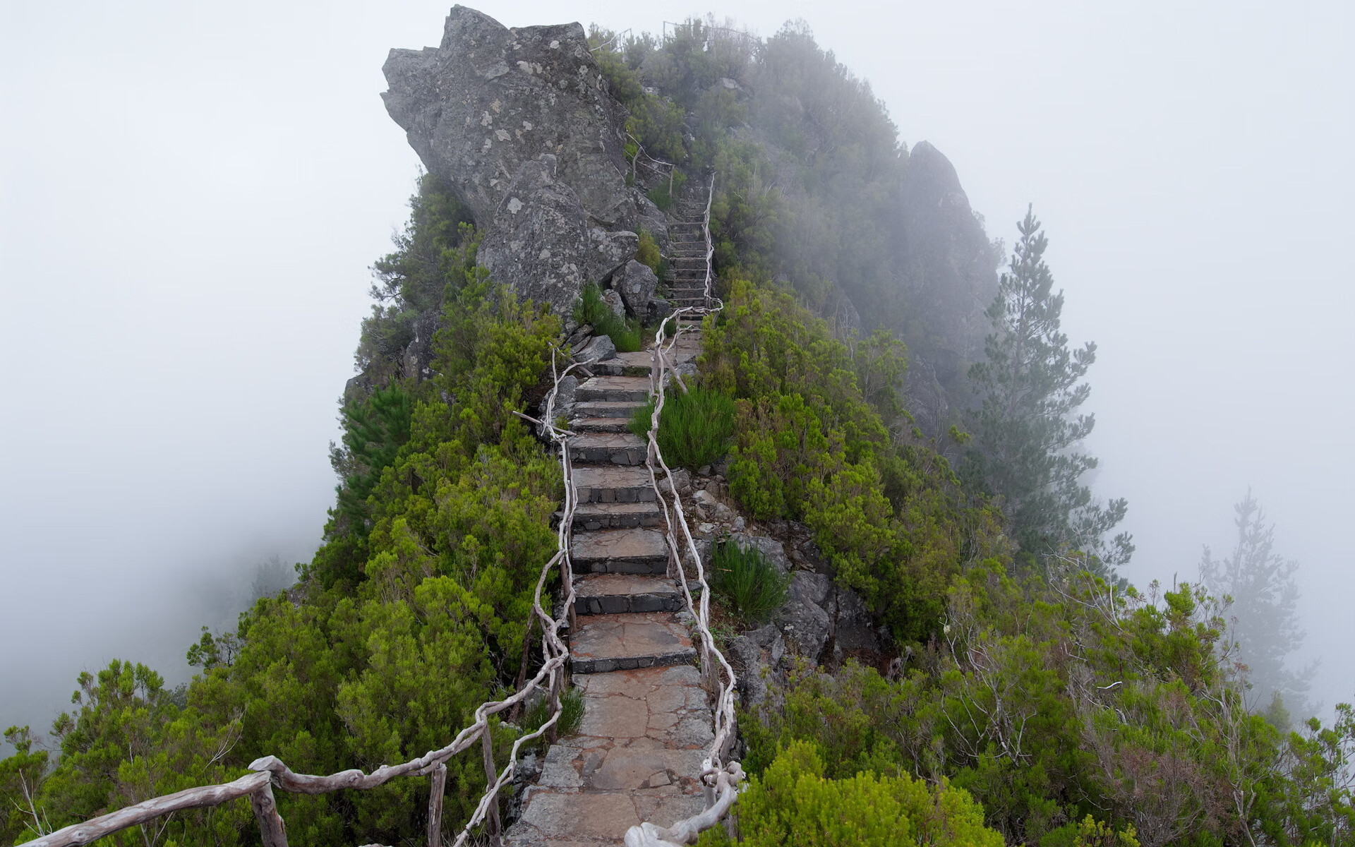 纽约暗夜惊雷，杰伦格林一剑封喉，尼克斯绝境突围鹈鹕