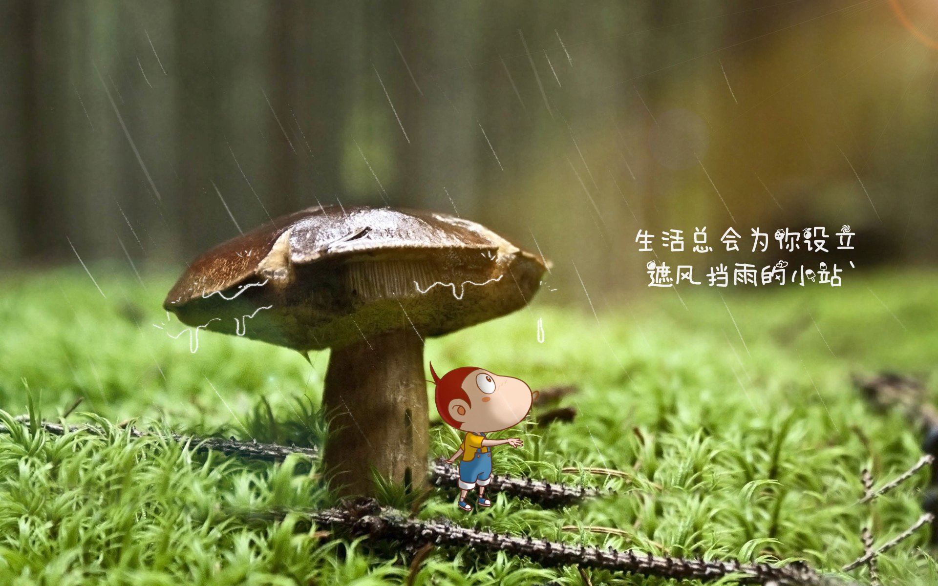 唯一逆转，卡塔尔之夜的闪电锋刃，费利克斯用七秒刺穿泰国王朝