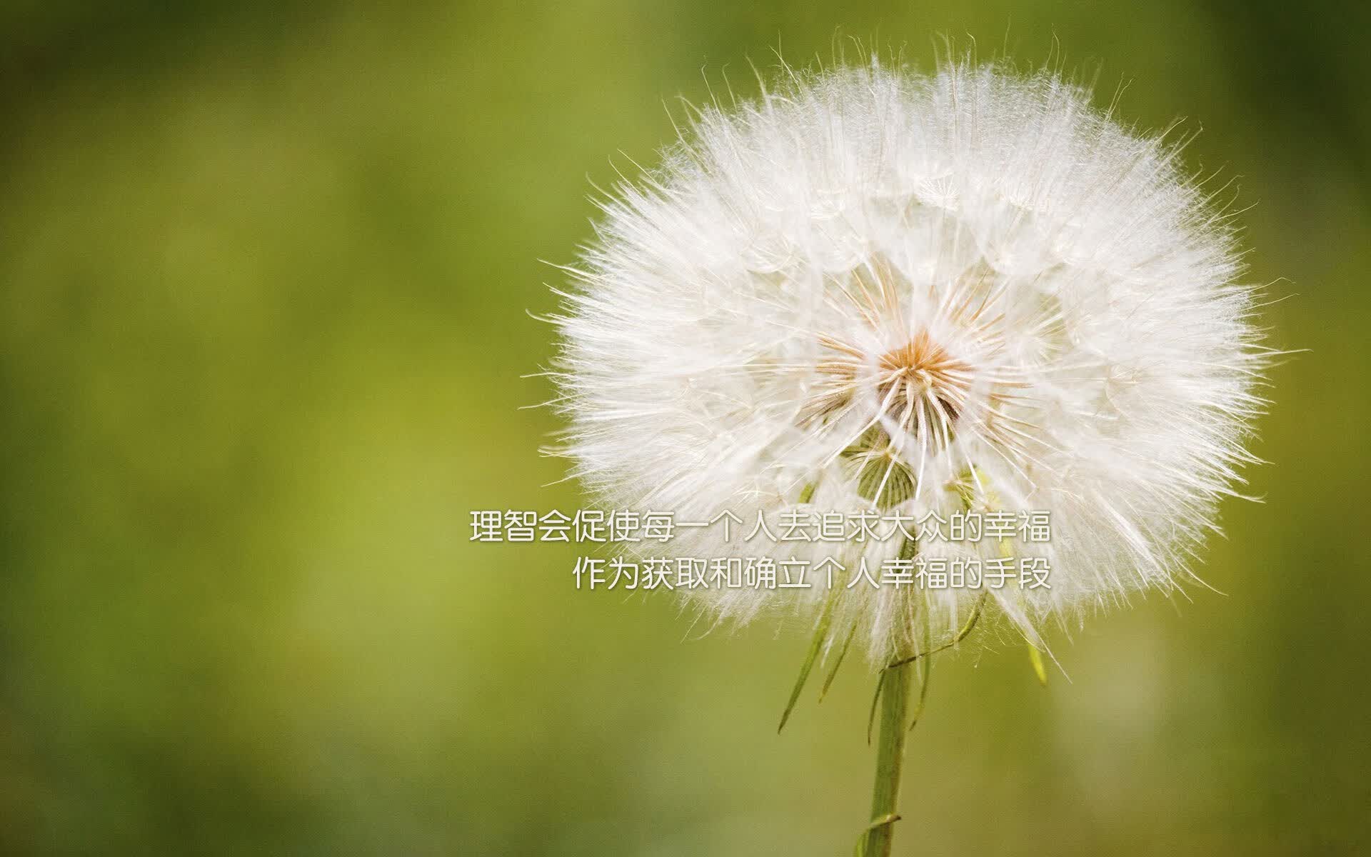 沙漠之狐的逆袭，2026世界杯F组，伊拉克绝杀乌拉圭，B费完成致命一击