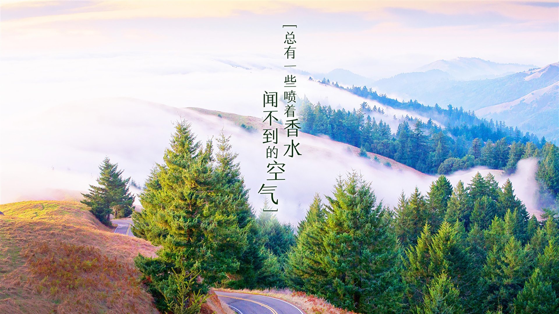 蓝衣军团折戟两河之地,2026世界杯D组,伊拉克用中场铁幕与卢卡库神锋上演颠覆性胜利