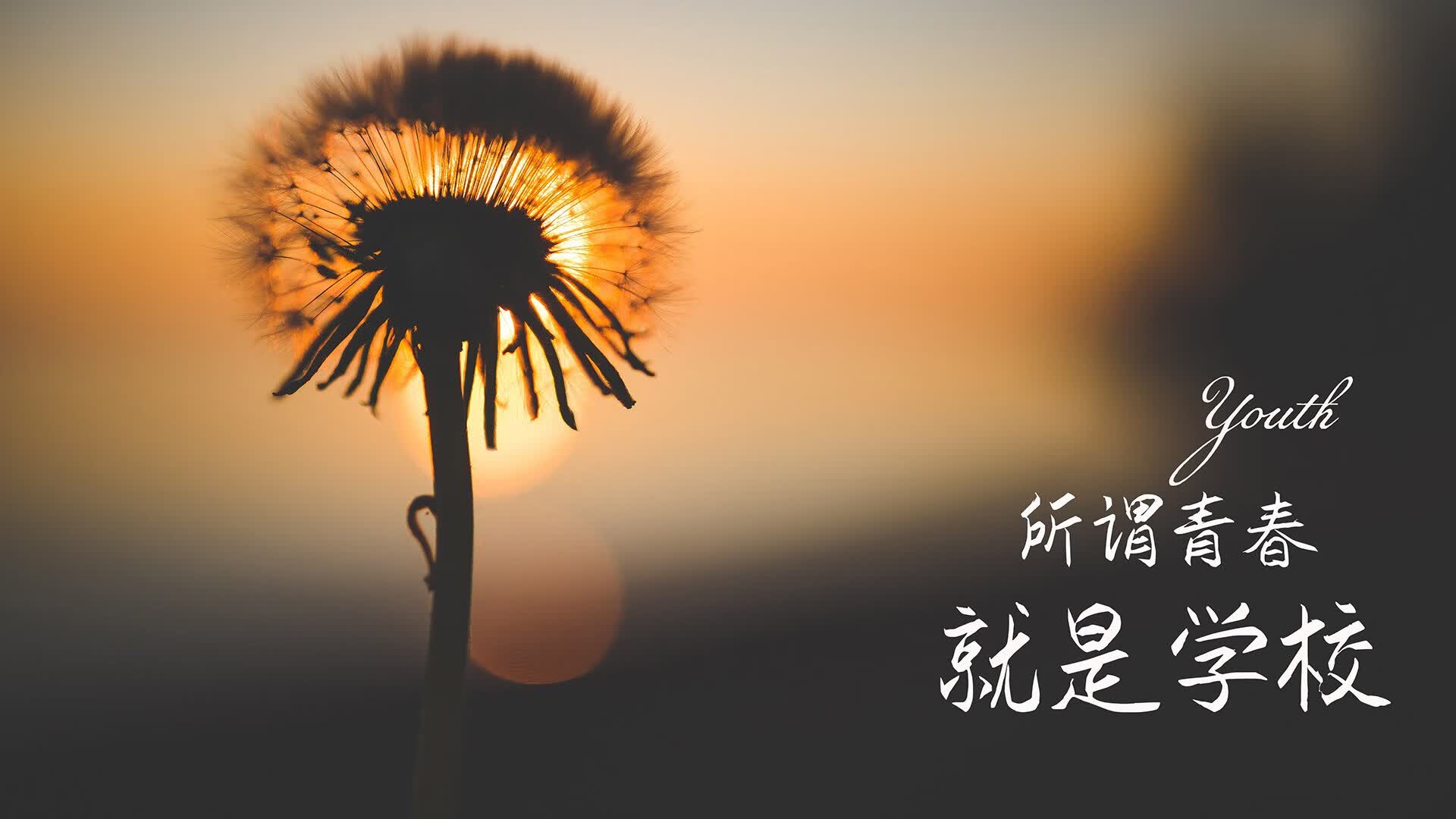 唯一之锚，2026世界杯，佩德里用一场防守课改写韩沙之战的命运