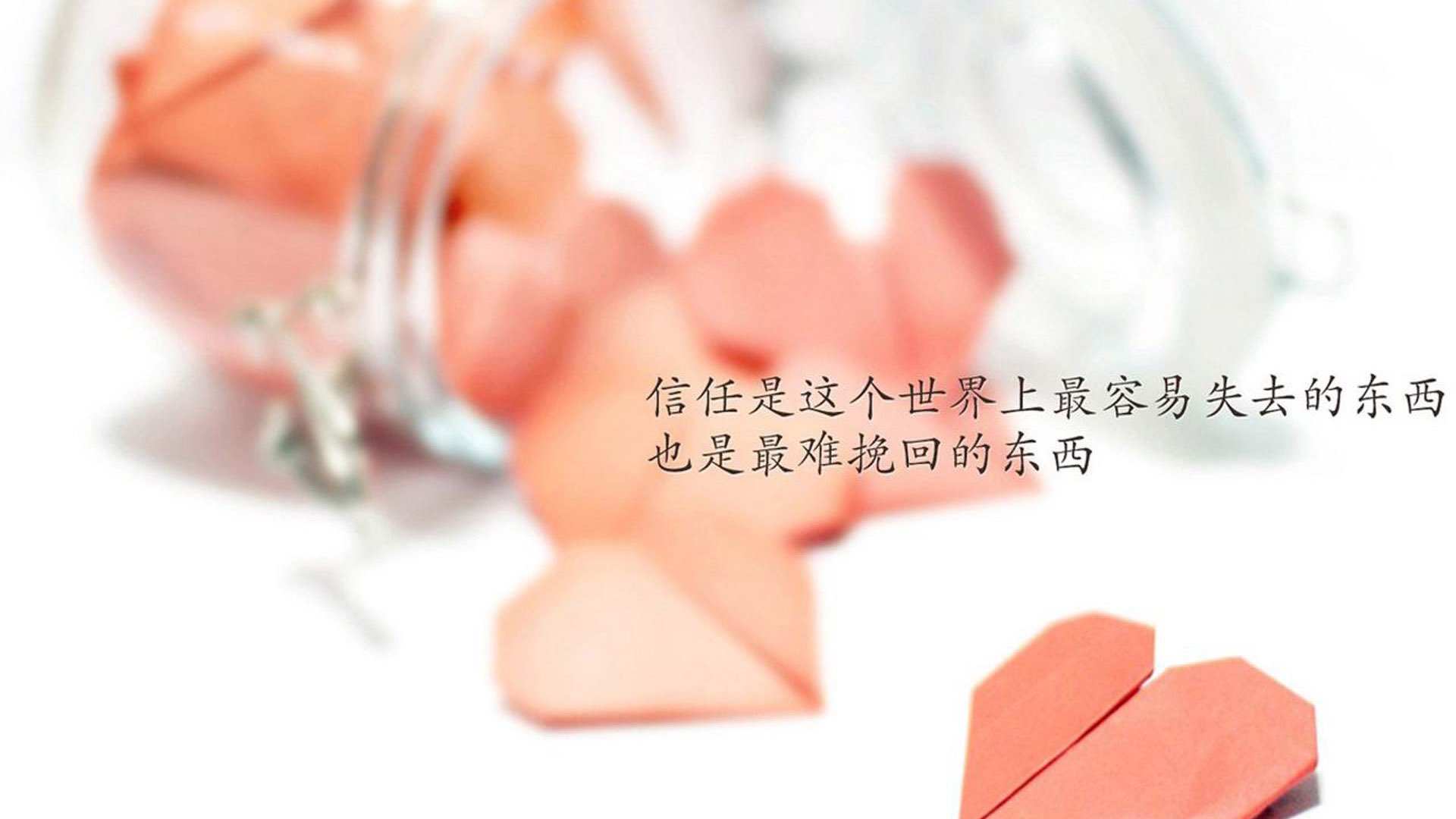 孤星独耀，2026世界杯G组战场，日本横扫比利时，努涅斯用一个人的锋芒刺破历史